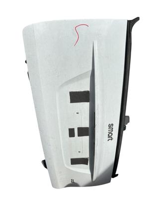 Portellone Bagagliaio Posteriore Smart ForTwo 451