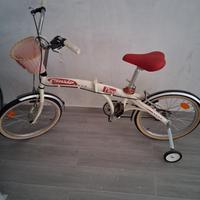 Coppia biciclette 