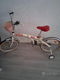 Coppia biciclette 