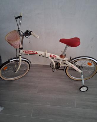 Coppia biciclette 