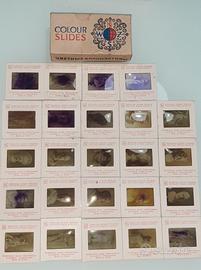 DIAPOSITIVE SCULTURE URSS