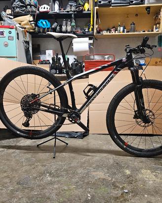 MTB carbon