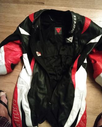 Tutta DAINESE