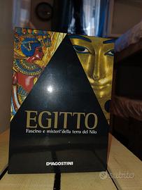 raccolta dvd