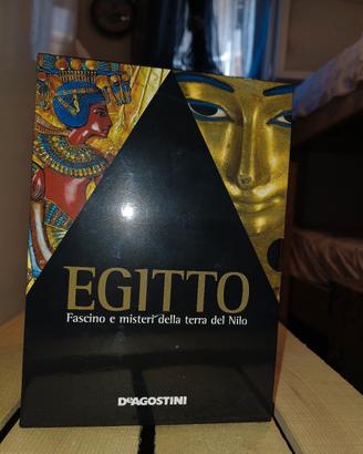 raccolta dvd