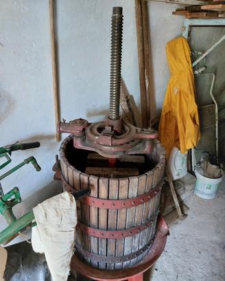 torchio 