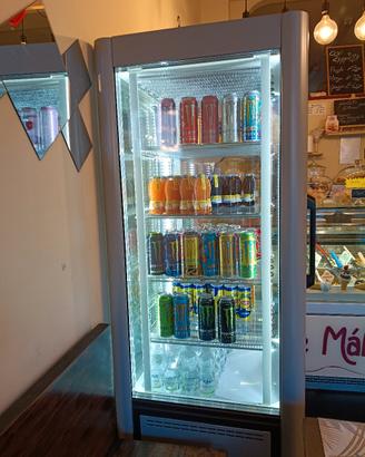 vetrina verticale scaiola professionale 