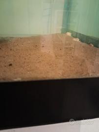 Sabbia per acquario 5 kg – usata 4 giorni
