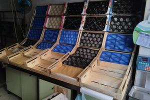 Banco esposizione frutta e verdura