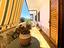Immagine 27
