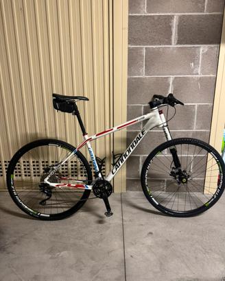 Cannondale F29