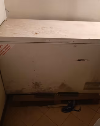 Feezer funzionante ma vecchio