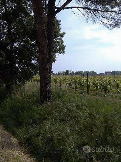 Immobile in asta di 50060 m² a Caneva - Vista 2