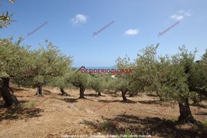 Terreno, Termini Imerese.