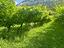 Immagine 22