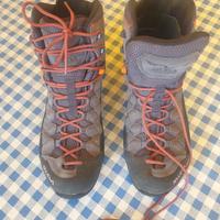 Salewa MS ALP Trainer MD GTX