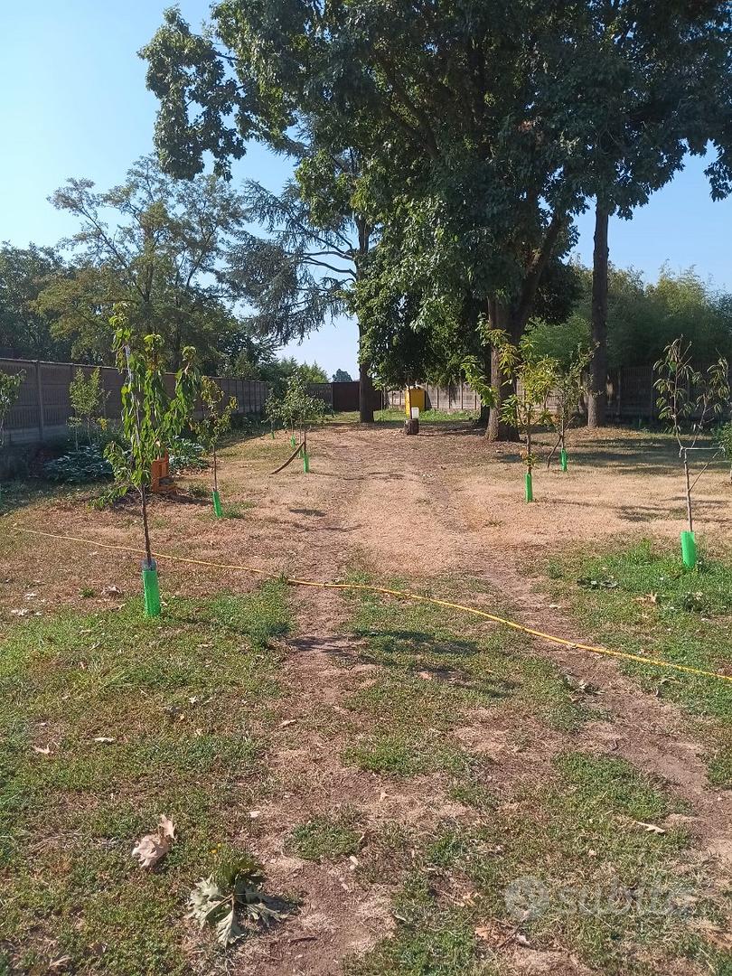 Terreno agricolo recintato con acqua potabile - Vista 5