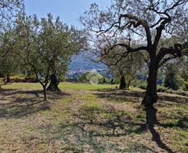 TER. AGRICOLO A SANT'AGATA DE' GOTI