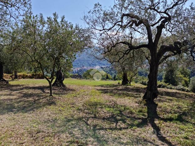 TER. AGRICOLO A SANT'AGATA DE' GOTI