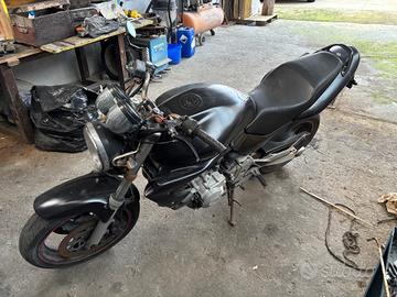 Honda Hornet 600