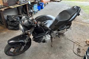 Honda Hornet 600