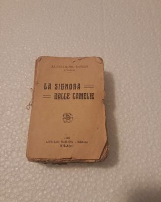 Mini libro