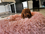 Immagine 24