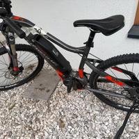 Haibike E- bike
