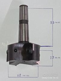 Fresa ad inserti 