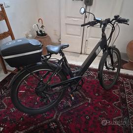 Bicicletta elettrica