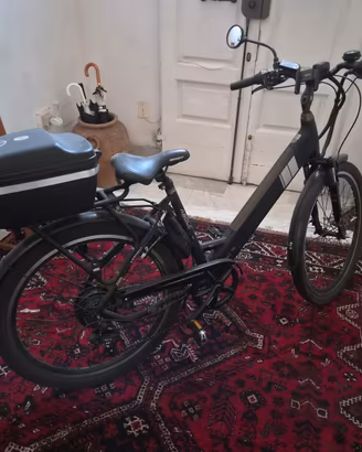 Bicicletta elettrica