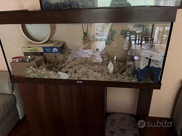 Acquario da 250l con mobiletto Juwel