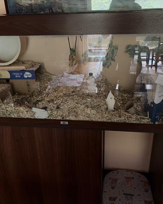 Acquario da 250l con mobiletto Juwel