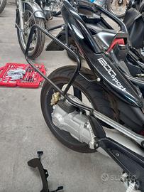 telaietti porta borse 