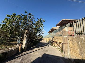 TER. AGRICOLO A ERCOLANO
