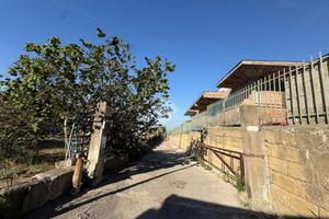 TER. AGRICOLO A ERCOLANO