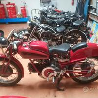 Moto Guzzi FALCONE DONDOLINO 500 - 1951