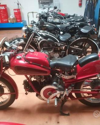 Moto Guzzi FALCONE DONDOLINO 500 - 1951