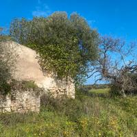 Sant'Orsola-Zuari terreno con cascina rustica