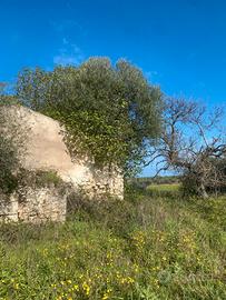 Sant'Orsola-Zuari terreno con cascina rustica