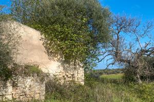 Sant'Orsola-Zuari terreno con cascina rustica