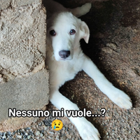 Salva un invisibile "ARGO"