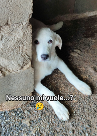 Salva un invisibile "ARGO"