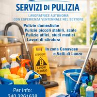 Pulizie con P.Iva
