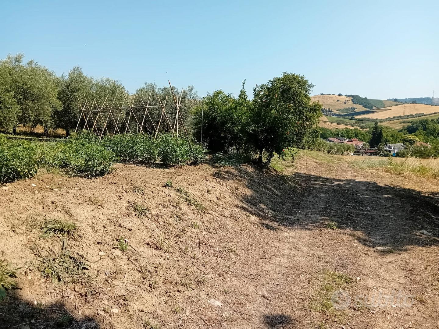 Terreno agricolo Alanno 4500mq - Vista 4