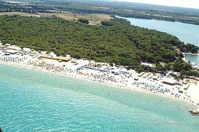 Otranto (LE) Serra degli Alimini 1