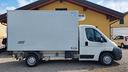 ducato-cella-frigo-isotermica-con-atp