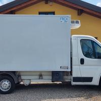 Ducato Cella Frigo Isotermica con ATP