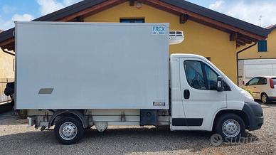 Ducato Cella Frigo Isotermica con ATP