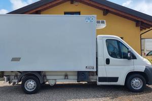 Ducato Cella Frigo Isotermica con ATP